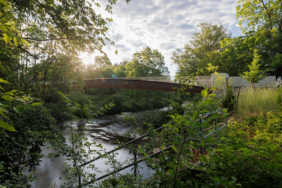 The Emma-Earl Bridge provides a crossing that blends into the environment of Speedvale River. (Photo: Salina Kassam)
