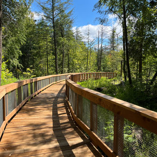 Wood boardwalk path winding through the woods.