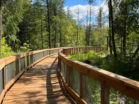 Wood boardwalk path winding through the woods.