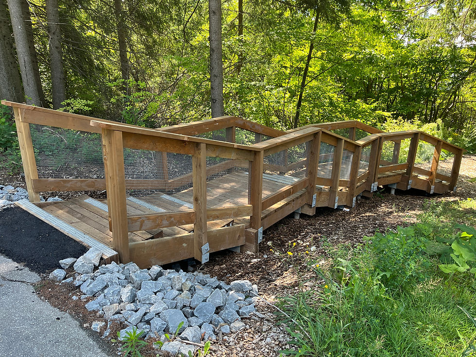New wooden staircase in a forest trail.