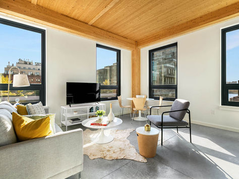 The State Of Timber In NYC
