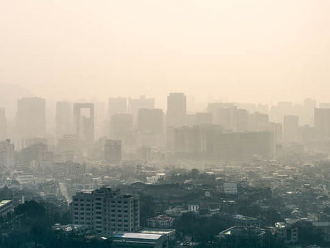 Why COVID-19 Does Not Solve The Climate Crisis