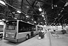 P1080306-BW.png